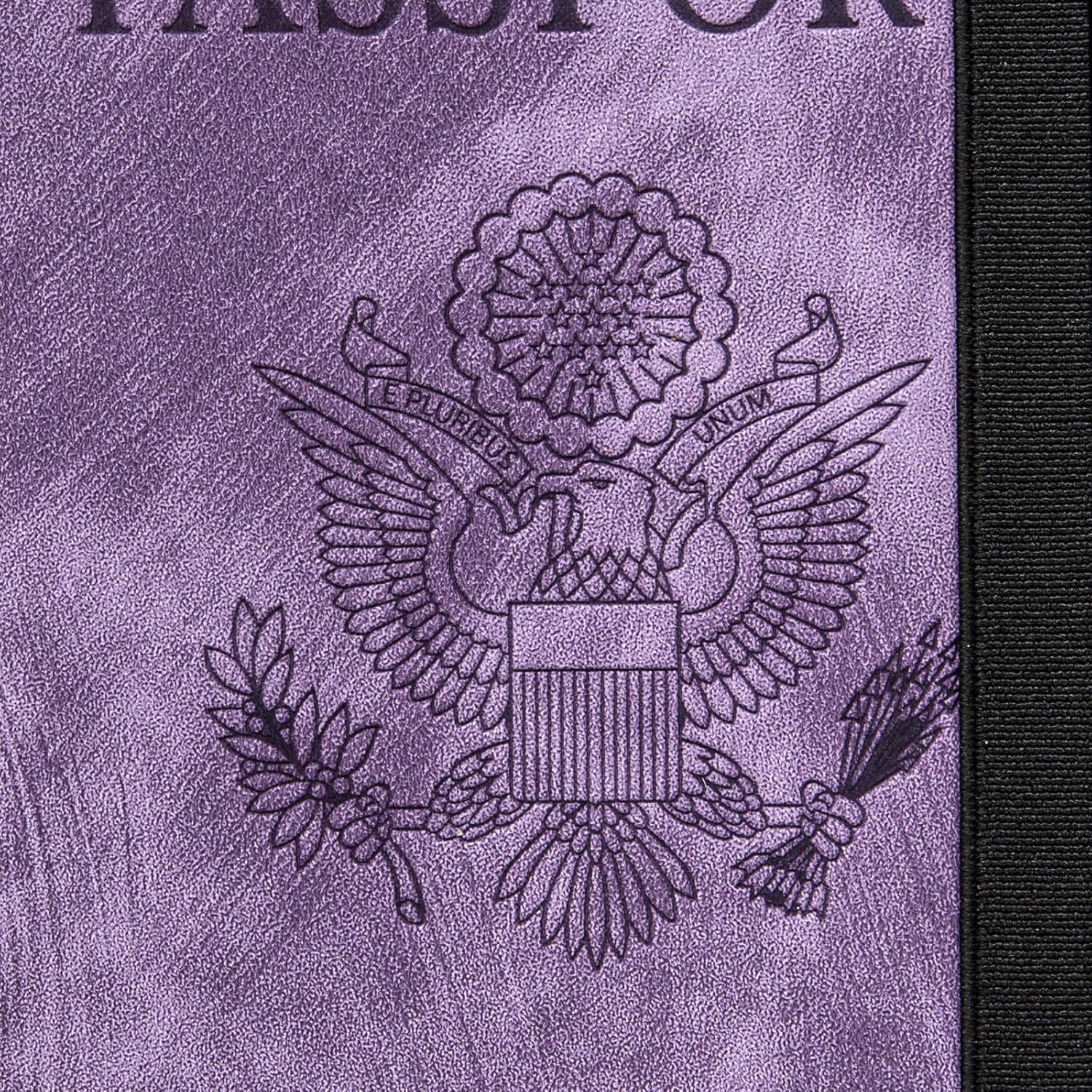 91ErplW4K5L._AC_SL1500_.jpg